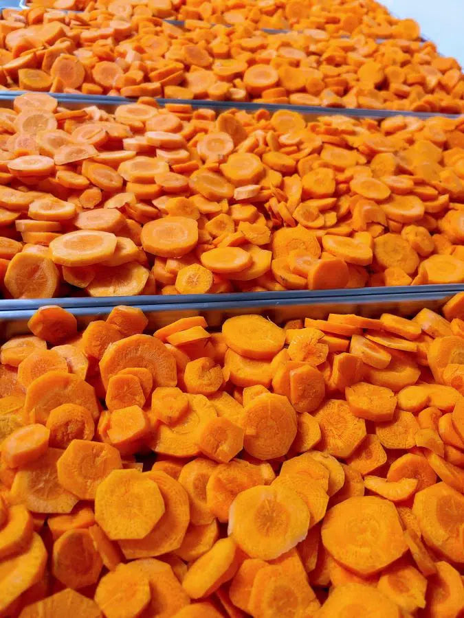 Carrots - Freeze Dried Veggies